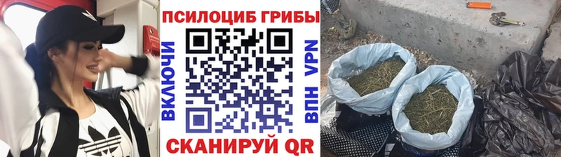 Галлюциногенные грибы MAGIC MUSHROOMS  Купить где  Ильский 