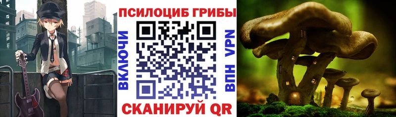Галлюциногенные грибы Magic Shrooms Ильский